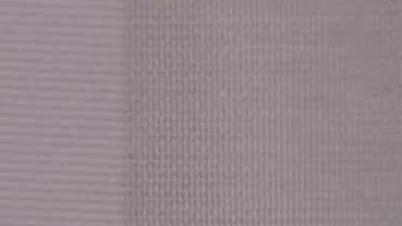 PASTEL ROSE BR 21 AZALEA